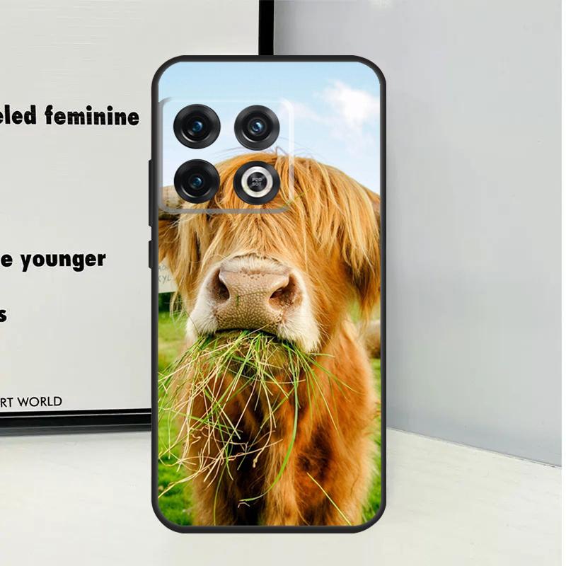 Cute Highland Cow For OnePlus Nord CE 5 2 3 4 Lite N20 N30 Case For OnePlus 13 12 11 9 10 Pro 10T 12R 13R 13T