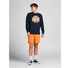 Jack & Jones Bloomer свитшот