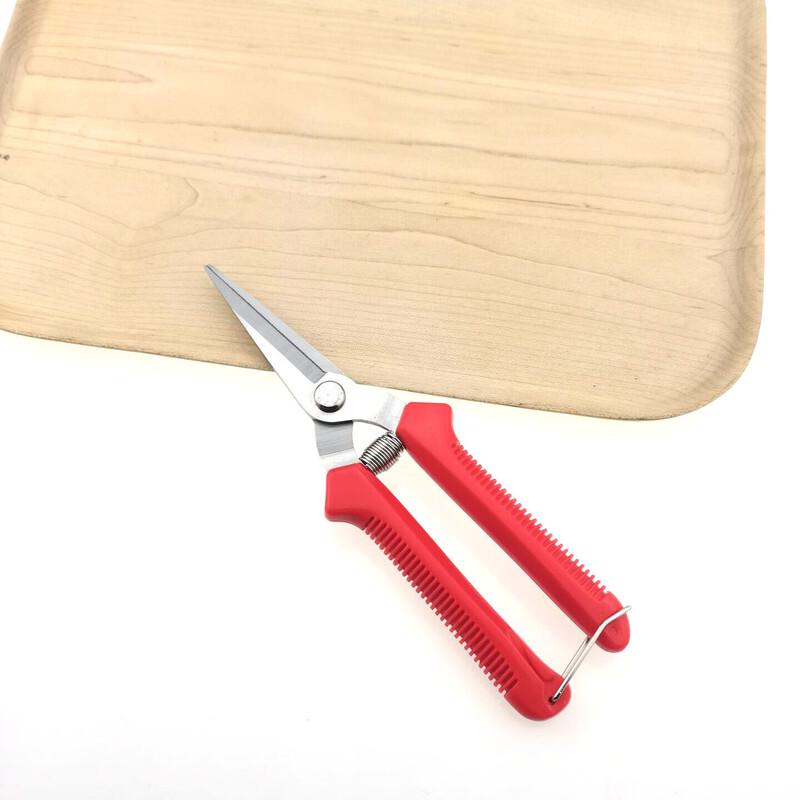 Zhi Shi Stainless Steel Fruit Picking & Pruning Shears