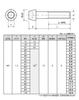 EGWORKS ULTRA-Ti™ High Strength 64 Titanium Taper Bolt M6x35mm Silver