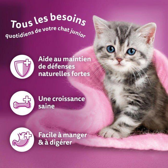 Nourriture humide - whiskas - pâtée d'alimentation - chaton - 84x85g - santé digestive