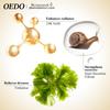 Anti-Aging Snail and Gold Essence Hydrating Hyaluronic Acid Moisturizers Treatment Face Care Cream Serum Snail Pure Extract