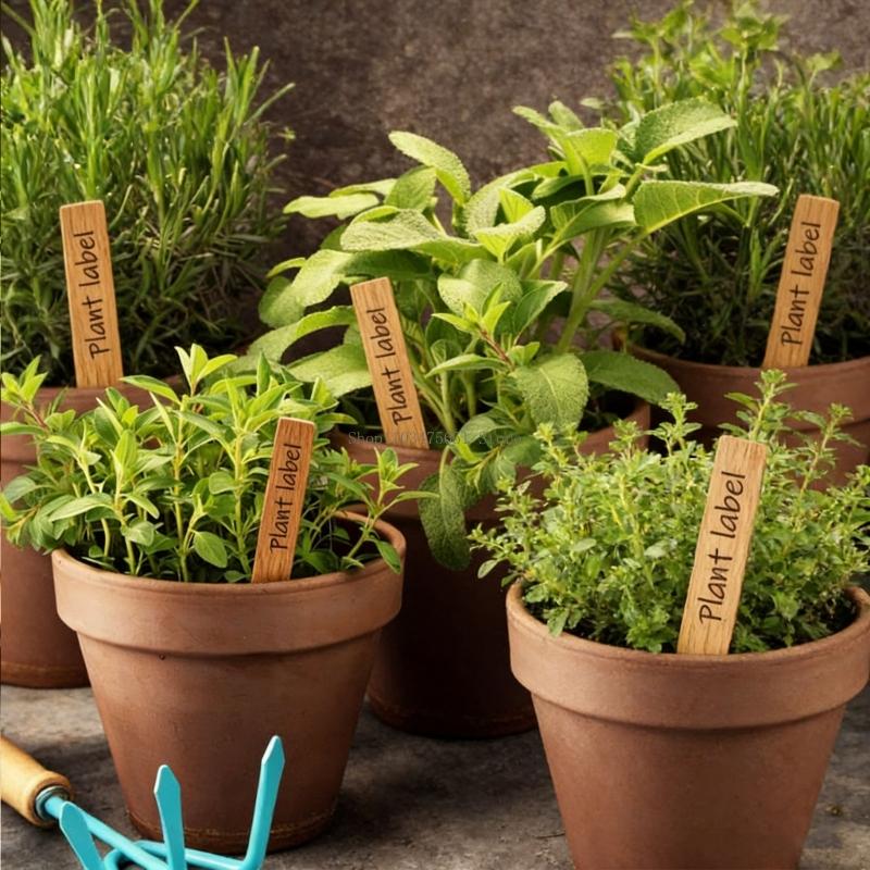 Multipurpose Wooden Plant Labels Pointed Wooden Garden Marker Waterproof Plant