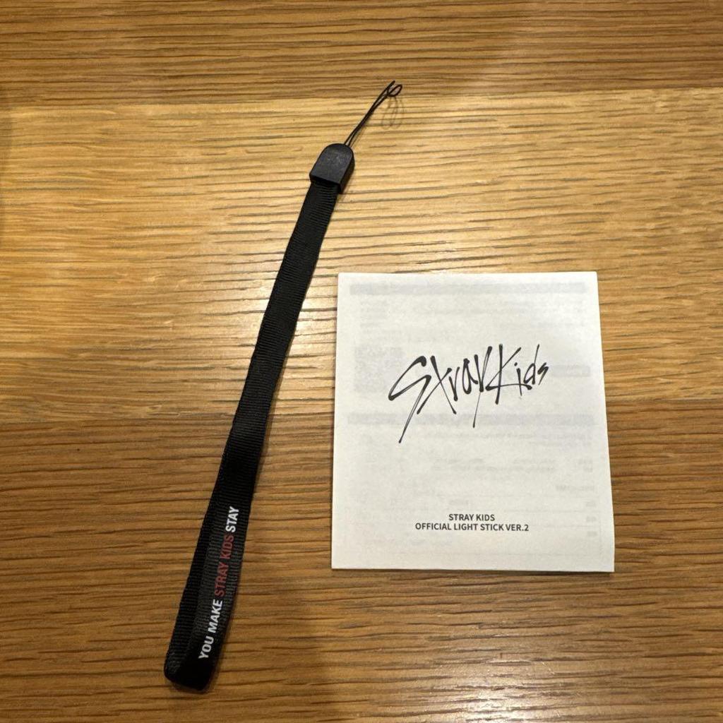 [USED] Anonymous Shipping Stray Kids Penlight ver.2