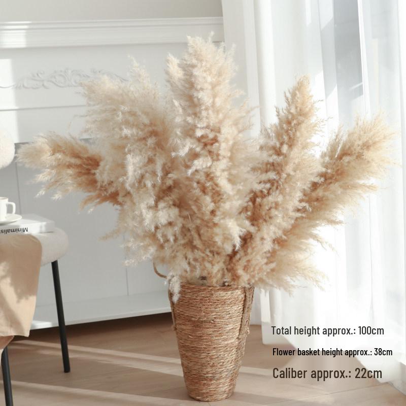 Natural Air-Dried Reed and Cattail Flower Bouquet for Floor Vase Decoration