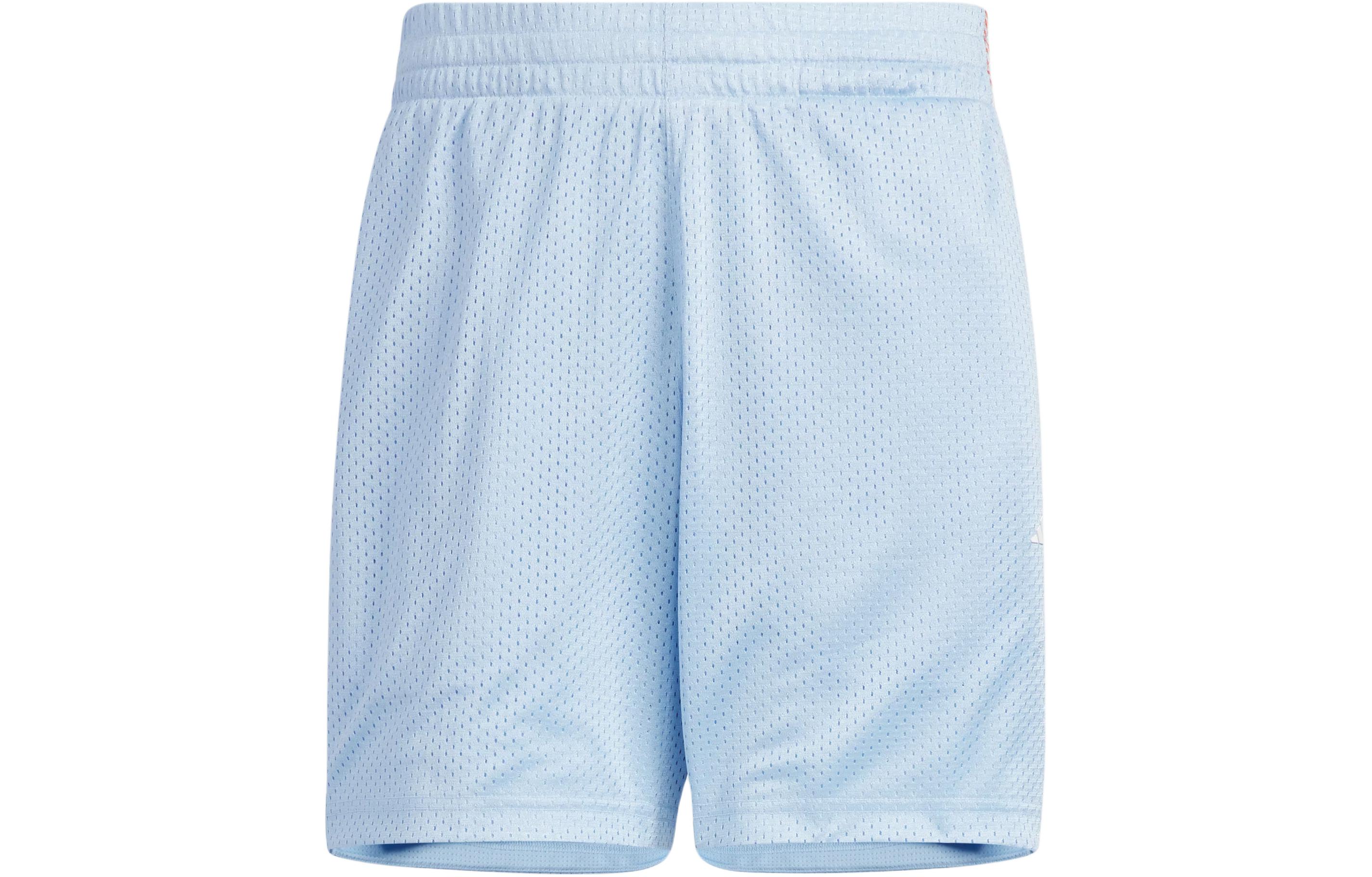 Баскетбольные шорты Adidas мужские розово-синие JI9760 L