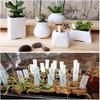 100Pcs Plastic Plant Labels Set White Plant Labels Plant Garden Tags 10x2cm Waterproof Plant Seed Label Pot Marker Plant Labels