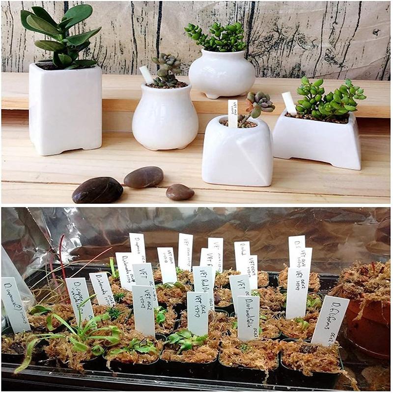 100Pcs Plastic Plant Labels Set White Plant Labels Plant Garden Tags 10x2cm Waterproof Plant Seed Label Pot Marker Plant Labels