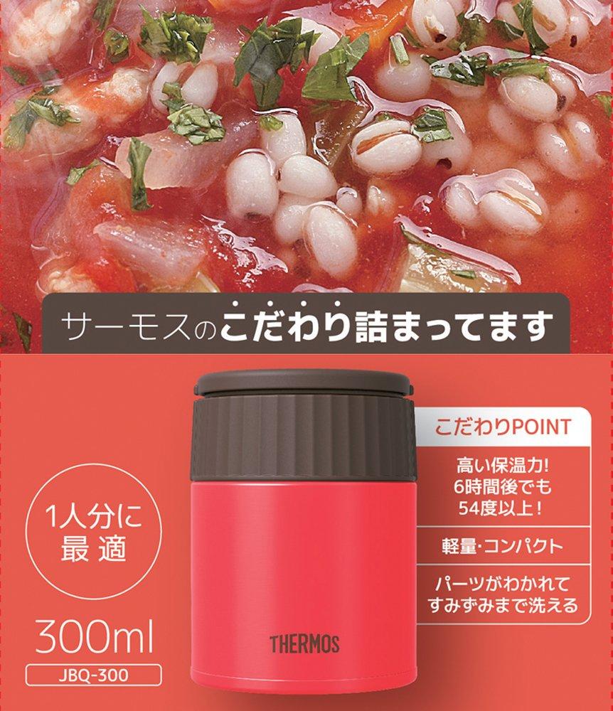Thermos Vacuum Insulated Soup Jar, 300ml, Peach (JBQ-300 PCH)