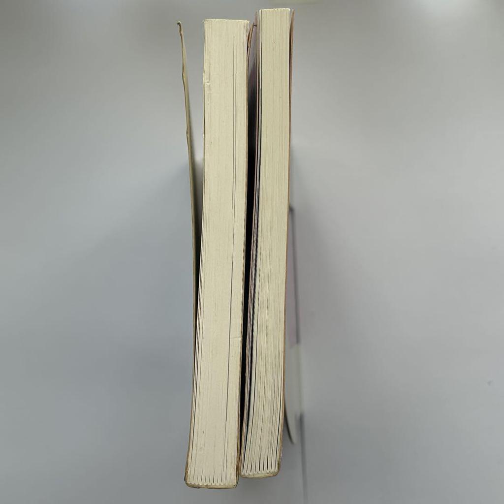 [USED] Strawberry Shortcake Collectibles 2-Book Set