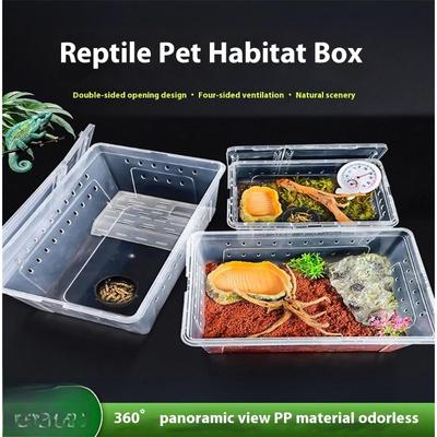 Répteis – Terrários de répteis