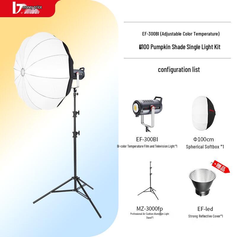 JINBEI EF-300BI Bi-Color LED Constant Light
