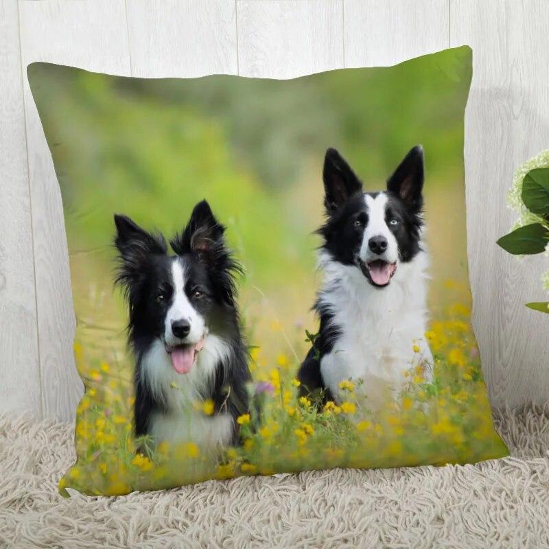 Pillowcase Border Collie  Modern Home Living Room Decor