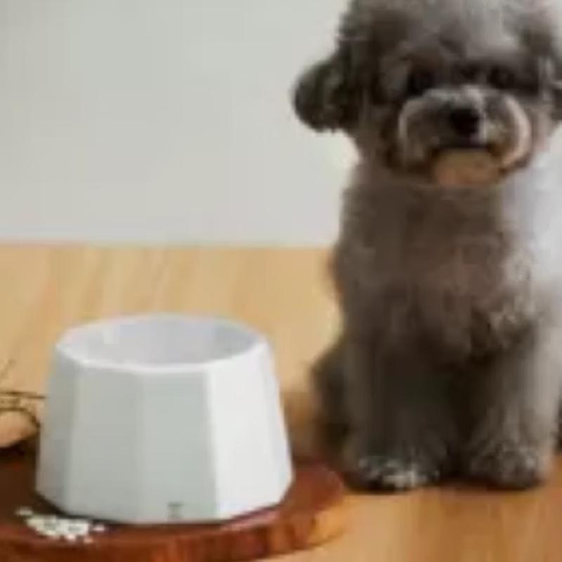 MujagiFitpet & Mujagi Minimalist Ceramic Pet Bowl
