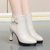 Pointed Toe High Heeled Boots Women Winter 2024 Sexy Plush Ankle Boots Simple Heeled Leather Boots Elegant Woman Heeled Shoes