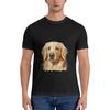 Labrador Golden Retriever Face Men's Cotton Crewneck T-Shirts, Casual Shirts