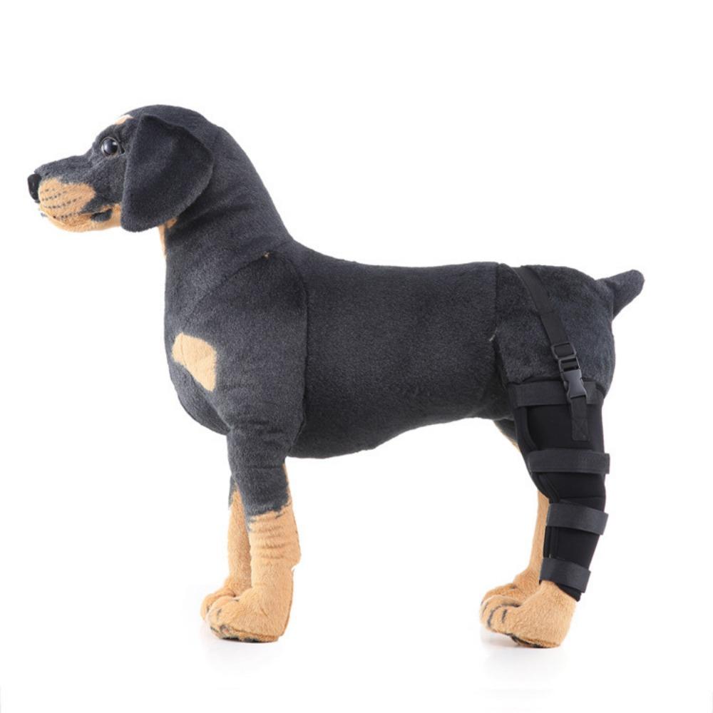 

Dog Supplies After Hand Rehabilitation Dog Leg Protection Dog Postoperative Walking Assisted Fixation Support Knee Pads XXS