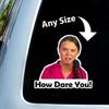 2ks 8*8cm How Dare You Greta Thunberg Vinyl Decal Samolepka Auto na okno