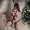 Sexy Lingerie Sex Bunny New Uniform Open Temptation Free One-Piece Suit Woman