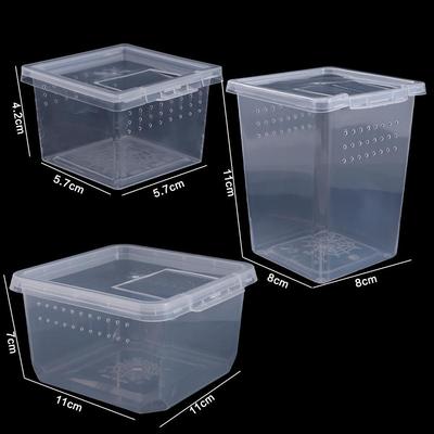 Sürüngen – Sürüngen Terraryumları