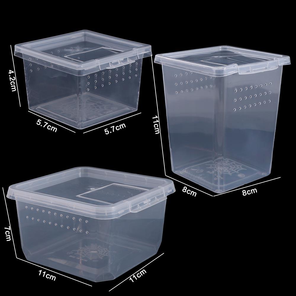 Transparent Household Insect Feeding Box Hatching Tank Reptile Habitat Lizard Living Box