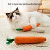 Durable Chewable Cat and Dog Toy: Self-Teasing Carrot Stick for Boredom Relief
