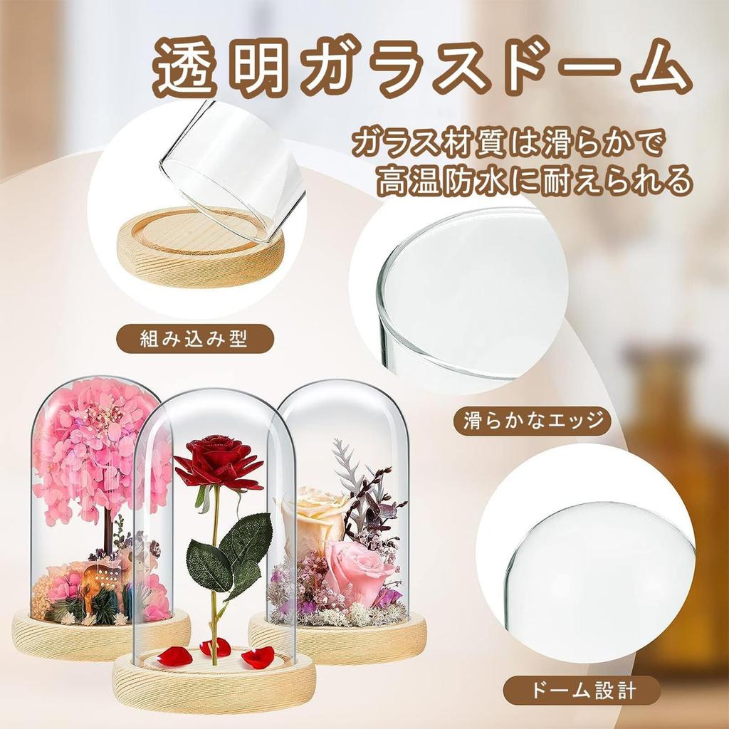 Glasglocke, Klare Glasglocke mit Holzsockel, Glasabdeckung, Stilvolle Glasglocke Vitrine, Klein