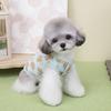 Dog Clothes Autumn Winter Thick Princess Cotton Coat Cute Bear Print Small Dog Teddy Pet Two Legs Under Cotton Vest  Pet Costume