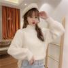 Winter Imitat Nerzwolle Fleecefutter Damen Rollkragen Elastischer Lässiger Pullover Damen Stricktops Pullover Weich Warm