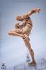 WIND TOYS 1/12 Scale PVC & POM Super Articulated Figure, Male Body, Normal