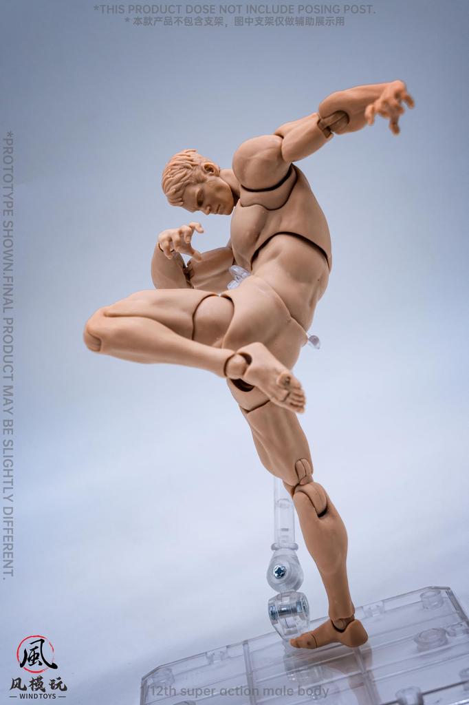 WIND TOYS 1/12 Scale PVC & POM Super Articulated Figure, Male Body, Normal