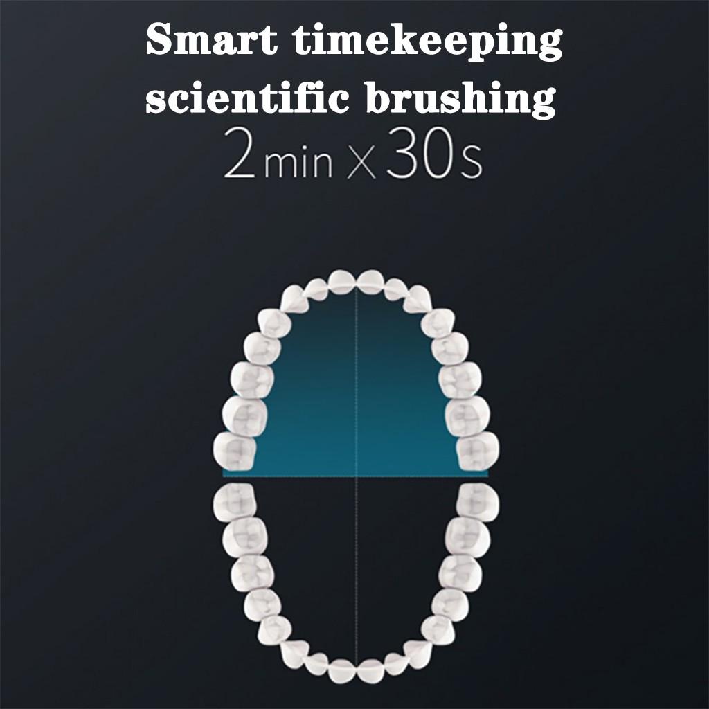 6Modes Electric Toothbrush USB Waterproof Rechargeable Custom Soft Teethbrush with 4Heads