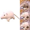 Horror Black Rat Plush Toy For Kids And Adults Alike 20cm Soft And Cuddly Stuffed Doll