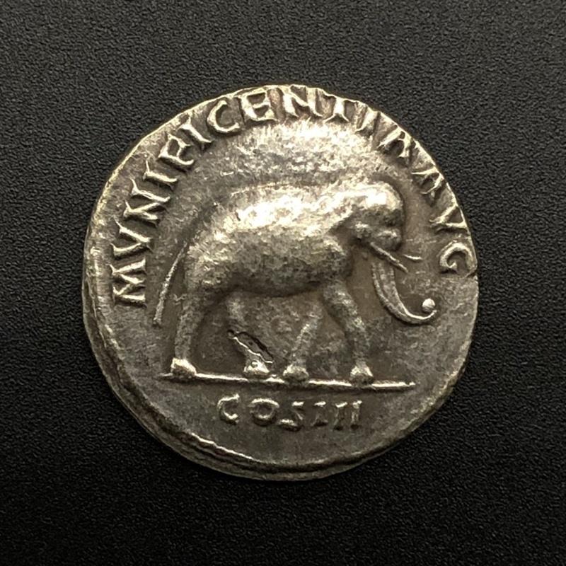 Copy Ancient Roman Emperor Augustus Silver Coin Roman Silver Coin Elephant Coin Collection