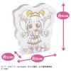 Takara Tomy (TAKARA TOMY) Secret Eye Pri Secret Eye Pri Acrylic Block R vol.2 BOX