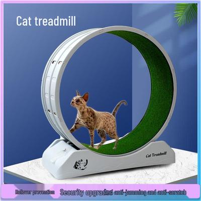 Cat & Dog Fitness Wheel: Exercise Treadmill & Climbing Toy