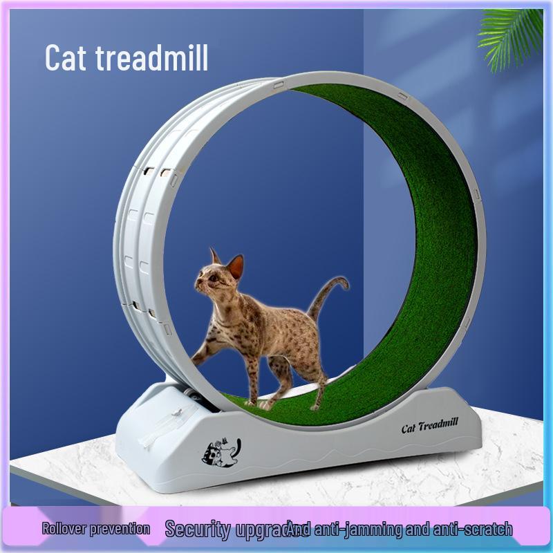 Cat & Dog Fitness Wheel: Exercise Treadmill & Climbing Toy