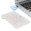 Wireless Numeric Keypad, 2.4GHz Portable Numeric Keypad with USB Receiver, Ergonomic Lightweight External Numeric Keypad, Mini PC Computer Accessory