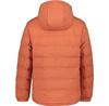 Куртка Icepeak Adonan Daunenjacke