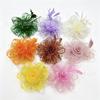 Popular European and American Bride Feather Flower Racing Festival Mesh Hairpin Headband Feather Flower Headdress