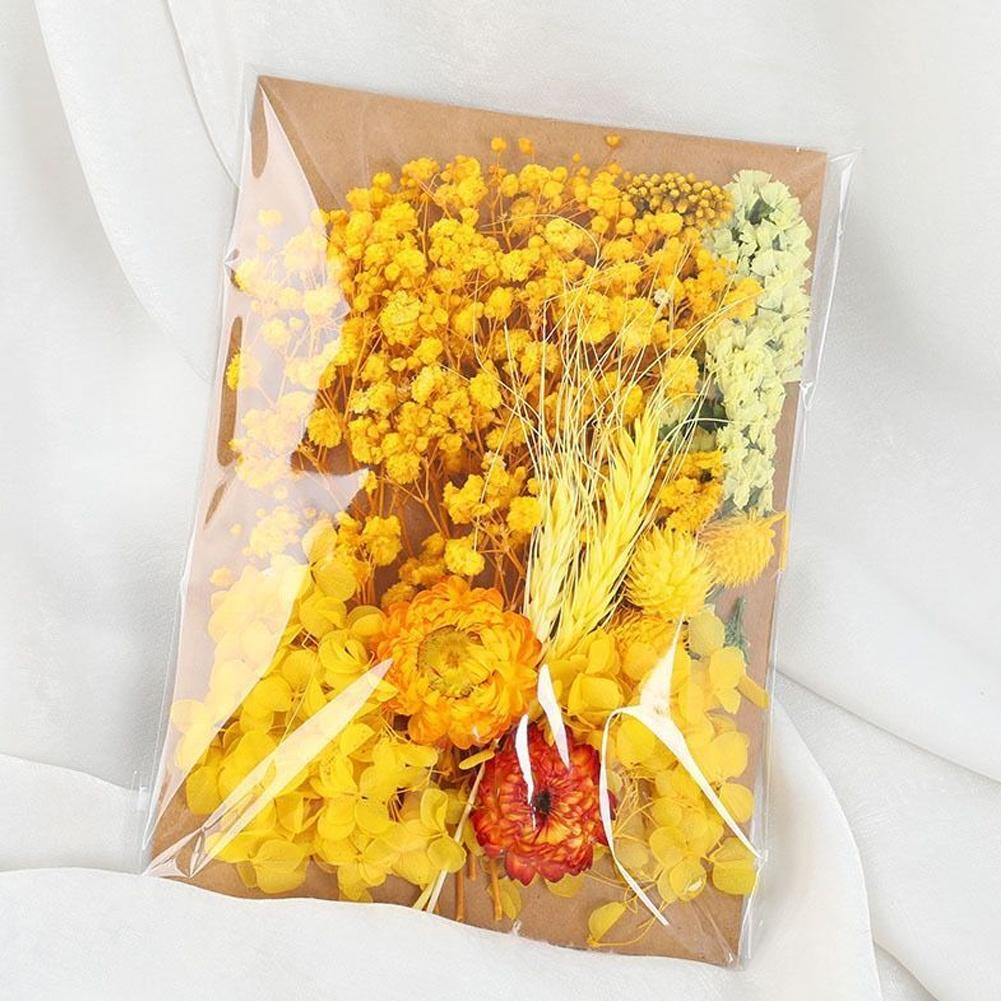 Набор для творчества «Сушеные цветы своими руками»: реалистичные, засушенные, разноцветные цветы для свечей, гипсовые фоторамки. жёлтый