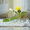 Hydroponic Floral Arrangement Holder Transparent Acrylic Desktop Decoration Multifunctional Container