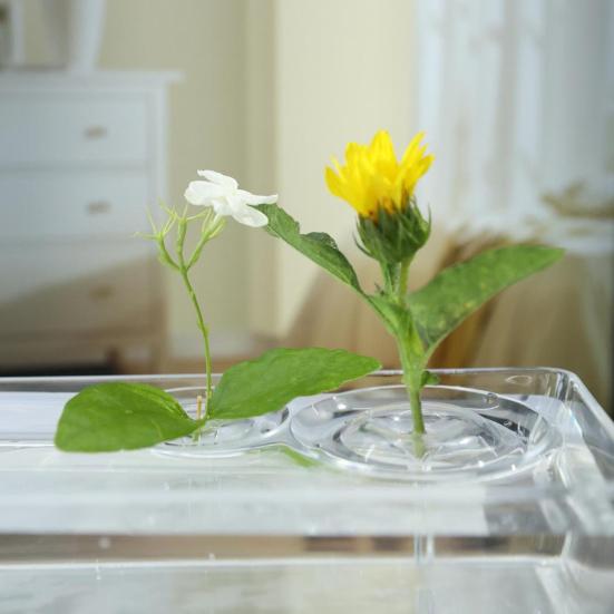 Hydroponic Floral Arrangement Holder Transparent Acrylic Desktop Decoration Multifunctional Container