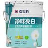 Carpoly Interior Odorless Bright White Latex Wall Paint