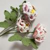 Wool Crochet Peony Bouquet Handmade Artificial Flower Exquisite Hand-woven Peony  Valentine's Day