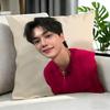Celebrity SSong Kang Cushion Cover Cushion Cover Set Pcs X X X Pillowcase Decorative Sofa Home Decor