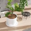 Adjustable Protective Cover for Garden Patio Plants Gardening Supplies Anti Slip