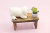 Step snow S polar bear