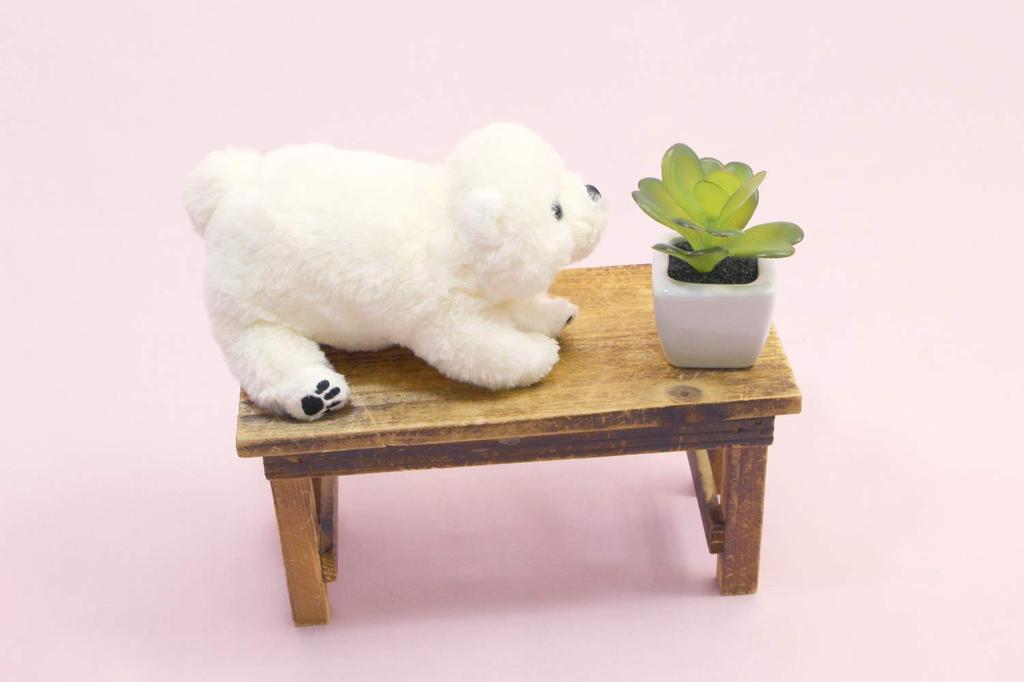 Step snow S polar bear