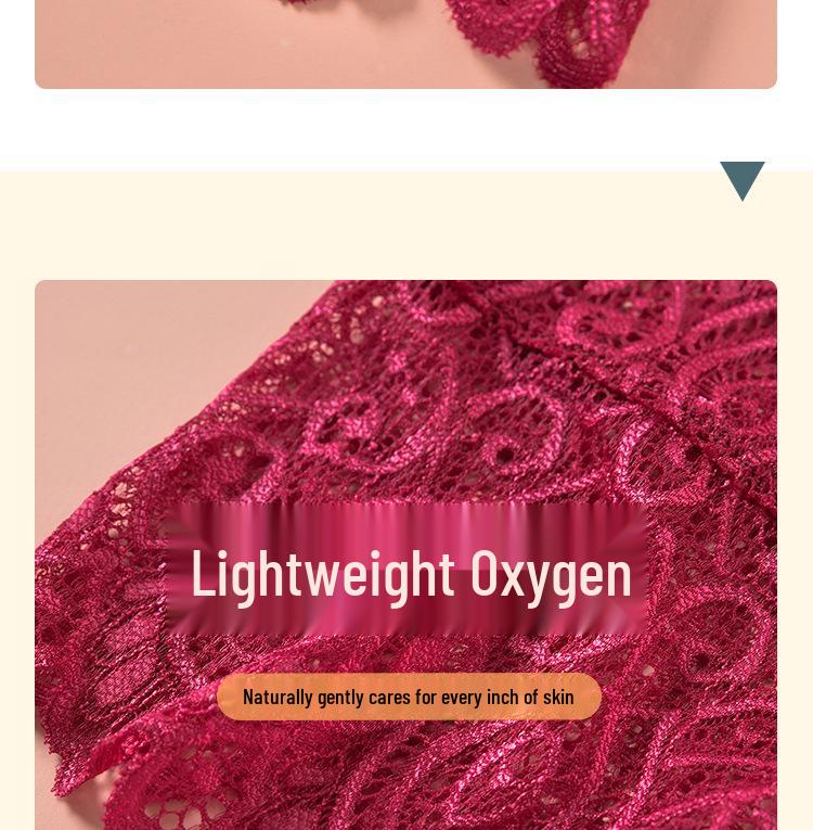 Perizoma di pizzo da donna taglia forte: Mutandine in Cotone Ultrasottili e Sexy per Stili Europei e Americani